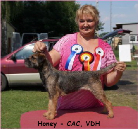 Honey V1 CAC,VDH Mittenwalde - Kopie